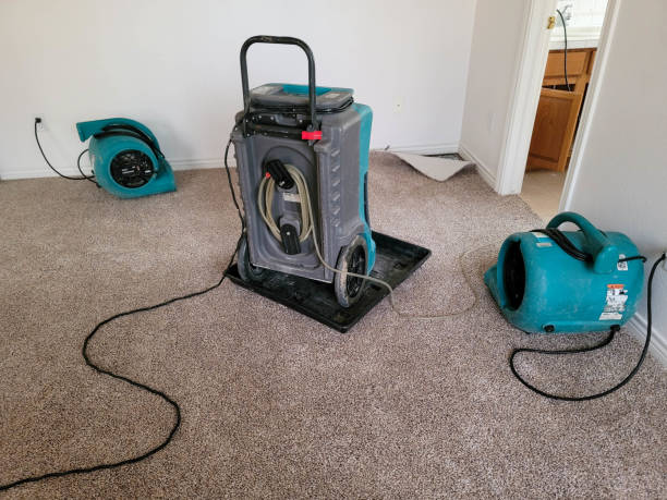 Carpet water damage restoration in NY