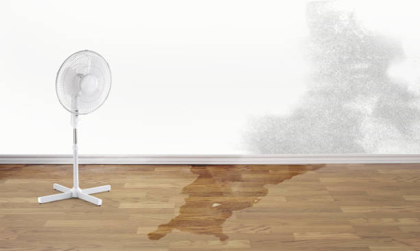 Professional Water damage restoration in NY